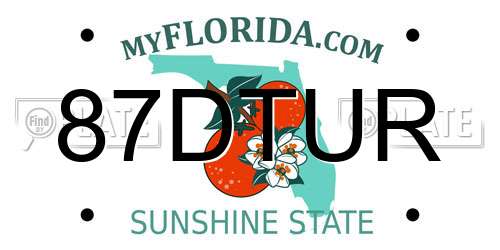 87DTUR Florida License Plate