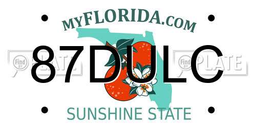 87DULC Florida License Plate