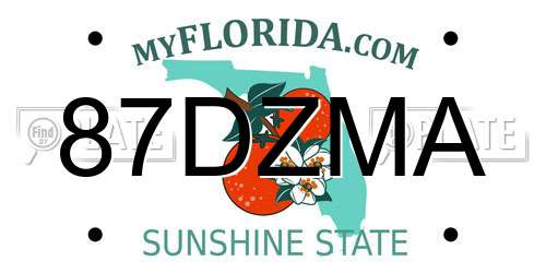 87DZMA Florida License Plate