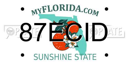 87ECID Florida License Plate
