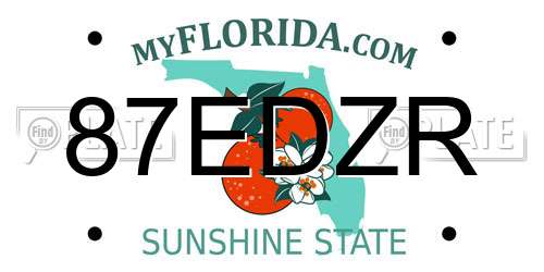 87EDZR Florida License Plate