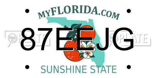 87EEJG Florida License Plate