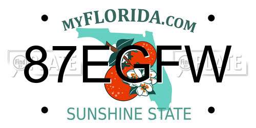 87EGFW Florida License Plate