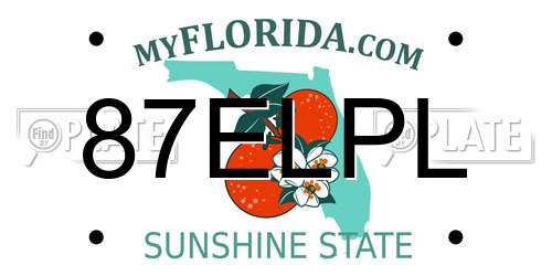 87ELPL Florida License Plate