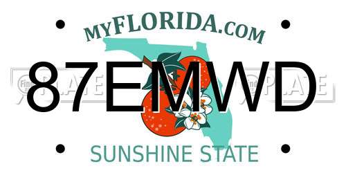 87EMWD Florida License Plate