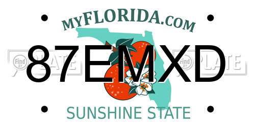 87EMXD Florida License Plate