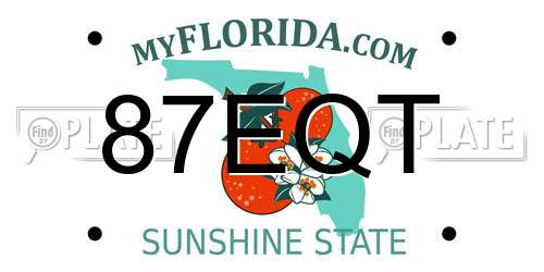 87EQT Florida License Plate