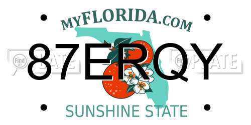 87ERQY Florida License Plate