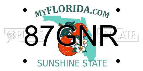 87GNR Florida License Plate