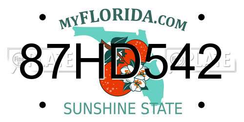 87HD542 Florida License Plate