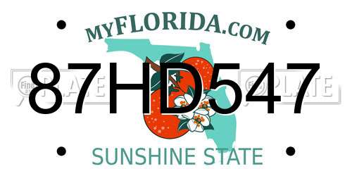 87HD547 Florida License Plate