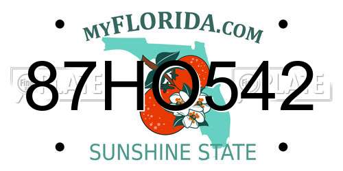 87HO542 Florida License Plate