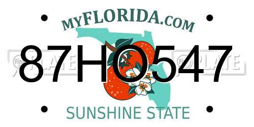 87HO547 Florida License Plate