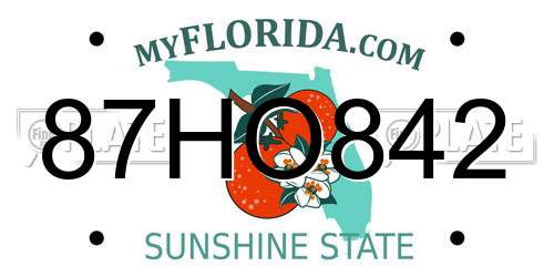 87HO842 Florida License Plate