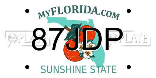 87JDP Florida License Plate