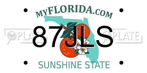 87JLS Florida License Plate