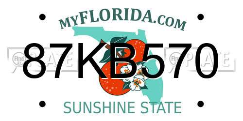 87KB570 Florida License Plate
