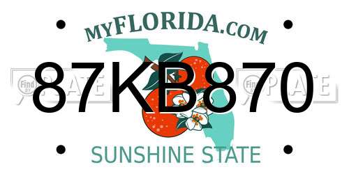 87KB870 Florida License Plate