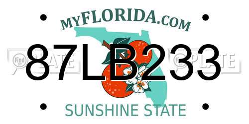 87LB233 Florida License Plate