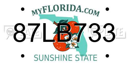 87LB733 Florida License Plate