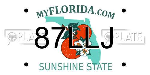 87LLJ Florida License Plate