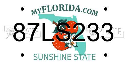 87LS233 Florida License Plate