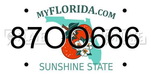 87OO666 Florida License Plate