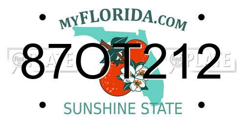 87OT212 Florida License Plate
