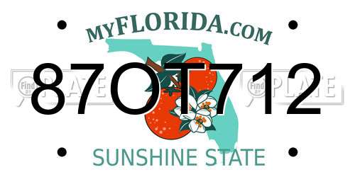 87OT712 Florida License Plate