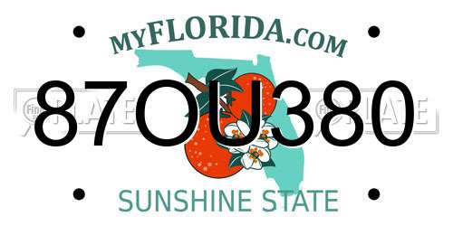87OU380 Florida License Plate