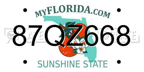 87QZ668 Florida License Plate