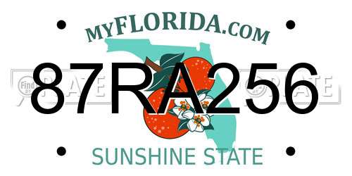 87RA256 Florida License Plate