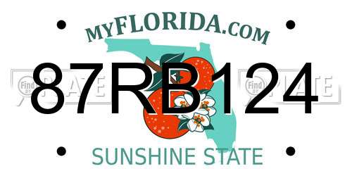 87RB124 Florida License Plate