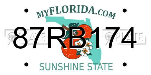 87RB174 Florida License Plate