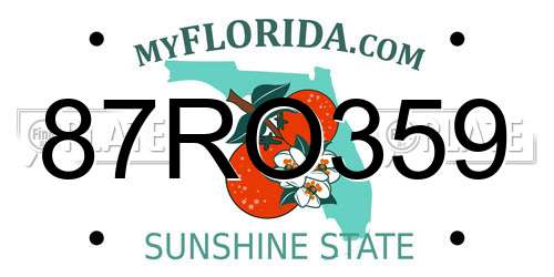 87RO359 Florida License Plate