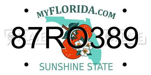 87RO389 Florida License Plate