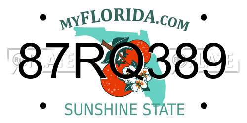 87RQ389 Florida License Plate
