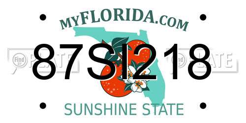 87SI218 Florida License Plate