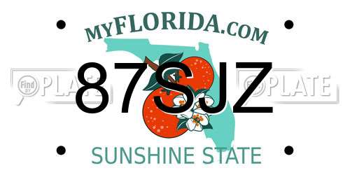 87SJZ Florida License Plate