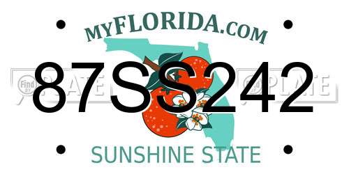 87SS242 Florida License Plate