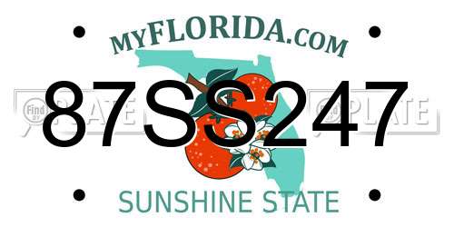 87SS247 Florida License Plate