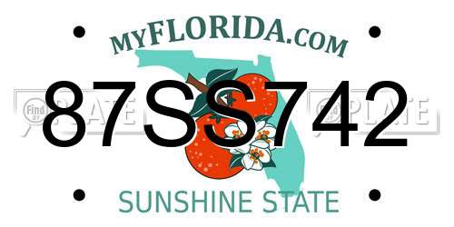 87SS742 Florida License Plate