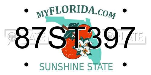 87ST397 Florida License Plate