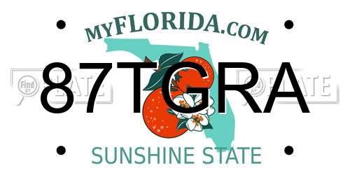 87TGRA Florida License Plate