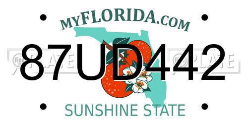 87UD442 Florida License Plate