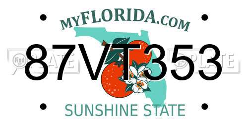 87VT353 Florida License Plate