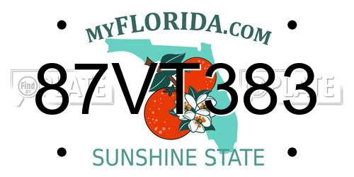 87VT383 Florida License Plate