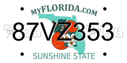 87VZ353 Florida License Plate