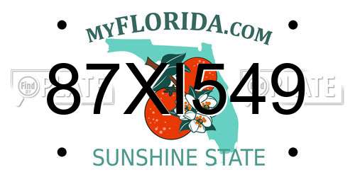 87XI549 Florida License Plate