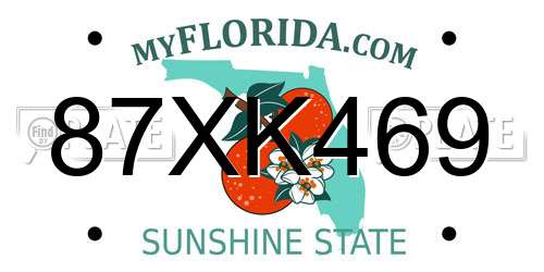 87XK469 Florida License Plate
